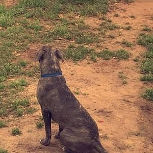 Meet your Posher, Dalton